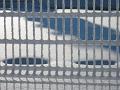 IMG_0006