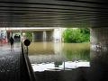IMG_0043