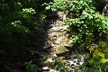 060_003100_cerny-dul_cista