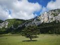 hohewand_02
