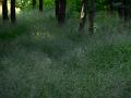 DSCN0544