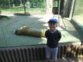 DSCN0561