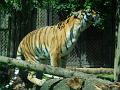 DSCN0566