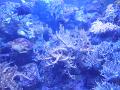 DSCN0593
