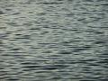 DSCN0269