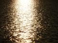 DSCN0270
