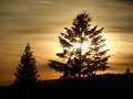 DSCN7683