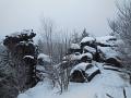 DSCN3683