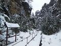 DSCN3780