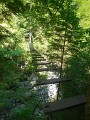 DSCN5343