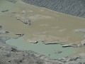 DSCN5649