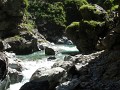 DSCN5810