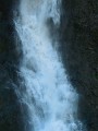 DSCN5864