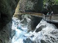 DSCN5878