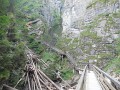 DSCN5892
