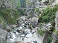 DSCN5908