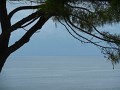 DSCN6049