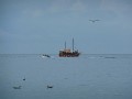 DSCN6071