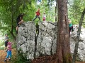 DSCN6181