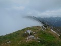 DSCN6263