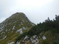 DSCN6267