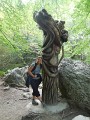 DSCN6338