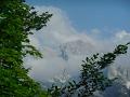 DSCN4635