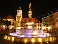 DSCN6754