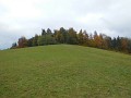 DSCN6841