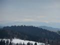 DSCN3385