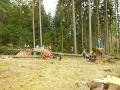DSCN3948