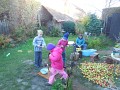 DSCN6945