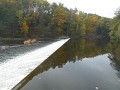 DSCN6954