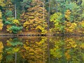 DSCN6990