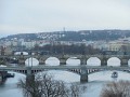 DSCN7367