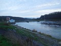 DSCN7390