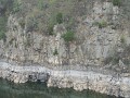 DSCN6631