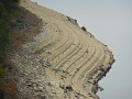 DSCN6636