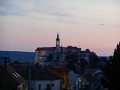 DSCN6461