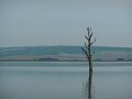 DSCN6468
