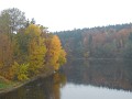DSCN7021