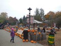 DSCN7034