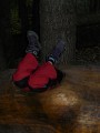 DSCN7103