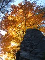 DSCN7214