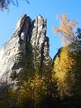 DSCN7226
