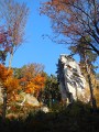 DSCN7237