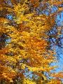 DSCN7241