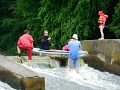 DSCN4766