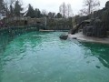 DSCN7462