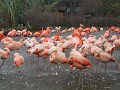 DSCN7480